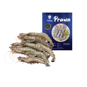 IQF Prawn